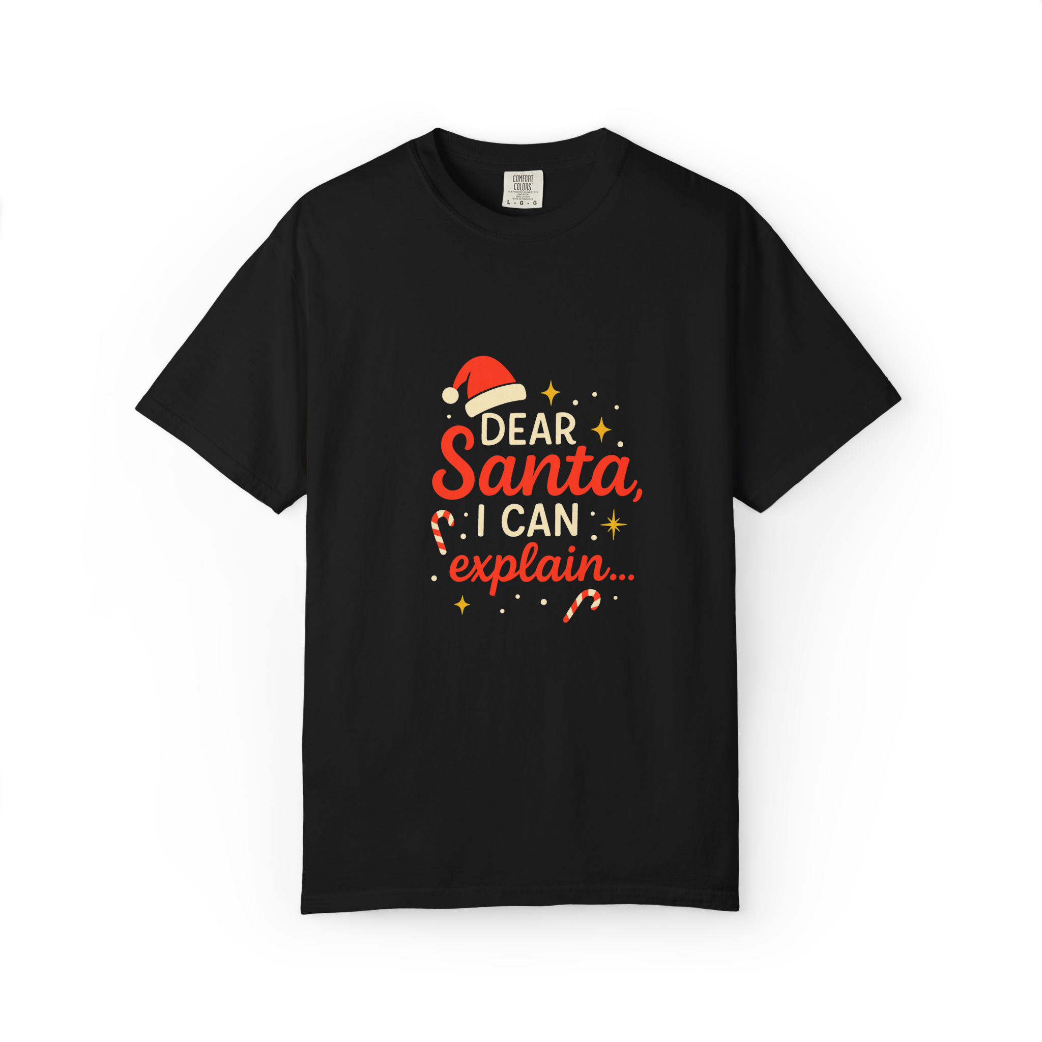 Dear Santa I Can Explain T-Shirt